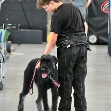 The dog days of summer?? #INEX